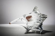 Moravskoslezské kulturní ceny Jantar